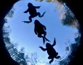judged by our editor who says...
How to frogkick - a very unique shot of a swimming frog in the category manipulated monthly hotshot click to zoom